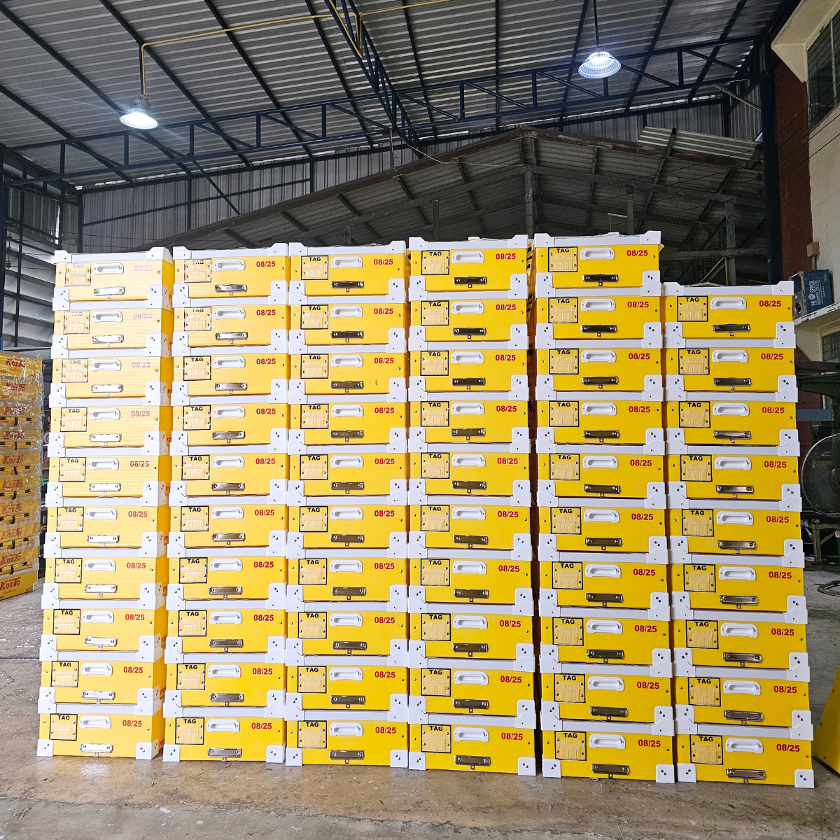 สินค้ากล่องรวม1